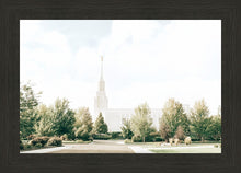 Load image into Gallery viewer, Twin Falls Idaho Immaculate Embrace

