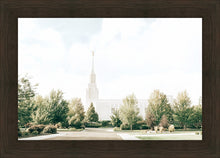 Load image into Gallery viewer, Twin Falls Idaho Immaculate Embrace
