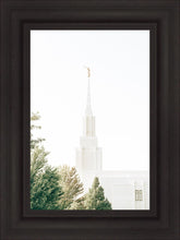 Load image into Gallery viewer, Twin Falls Idaho Celestial View
