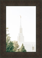 Load image into Gallery viewer, Twin Falls Idaho Celestial View
