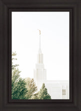 Load image into Gallery viewer, Twin Falls Idaho Celestial View
