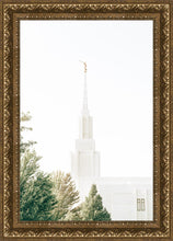 Load image into Gallery viewer, Twin Falls Idaho Celestial View
