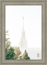 Load image into Gallery viewer, Twin Falls Idaho Celestial View
