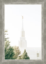 Load image into Gallery viewer, Twin Falls Idaho Celestial View
