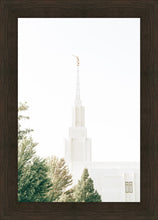 Load image into Gallery viewer, Twin Falls Idaho Celestial View
