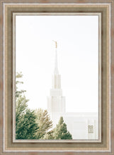 Load image into Gallery viewer, Twin Falls Idaho Celestial View
