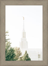 Load image into Gallery viewer, Twin Falls Idaho Celestial View
