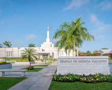 Load image into Gallery viewer, Mérida Mexico Yucatán

