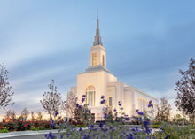Load image into Gallery viewer, Burley Idaho Calm Covenant Path
