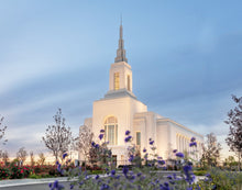 Load image into Gallery viewer, Burley Idaho Calm Covenant Path

