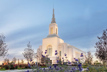 Load image into Gallery viewer, Burley Idaho Calm Covenant Path
