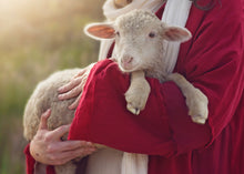 Load image into Gallery viewer, The Good Shepherd
