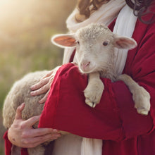 Load image into Gallery viewer, The Good Shepherd
