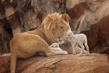 Load image into Gallery viewer, The Lion and The Lamb
