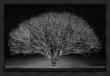 Load image into Gallery viewer, Winter Wonderland
