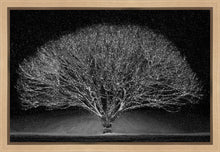 Load image into Gallery viewer, Winter Wonderland
