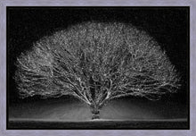 Load image into Gallery viewer, Winter Wonderland
