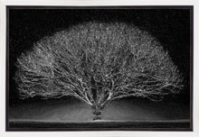 Load image into Gallery viewer, Winter Wonderland
