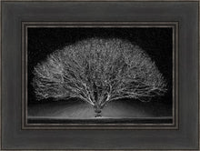 Load image into Gallery viewer, Winter Wonderland
