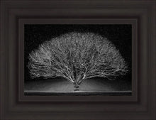 Load image into Gallery viewer, Winter Wonderland
