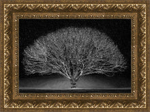 Load image into Gallery viewer, Winter Wonderland
