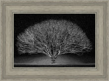 Load image into Gallery viewer, Winter Wonderland
