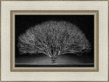 Load image into Gallery viewer, Winter Wonderland

