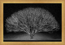 Load image into Gallery viewer, Winter Wonderland
