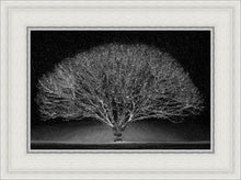 Load image into Gallery viewer, Winter Wonderland
