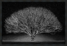 Load image into Gallery viewer, Winter Wonderland
