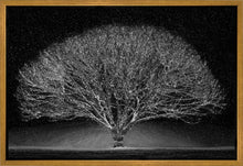 Load image into Gallery viewer, Winter Wonderland
