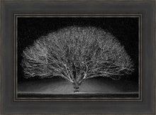 Load image into Gallery viewer, Winter Wonderland
