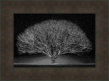Load image into Gallery viewer, Winter Wonderland
