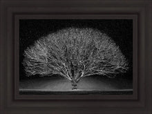 Load image into Gallery viewer, Winter Wonderland

