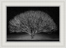 Load image into Gallery viewer, Winter Wonderland
