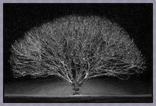 Load image into Gallery viewer, Winter Wonderland
