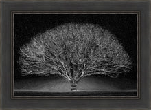 Load image into Gallery viewer, Winter Wonderland
