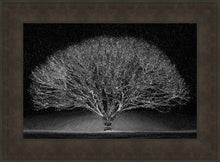 Load image into Gallery viewer, Winter Wonderland
