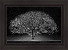 Load image into Gallery viewer, Winter Wonderland

