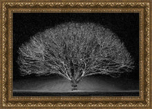 Load image into Gallery viewer, Winter Wonderland
