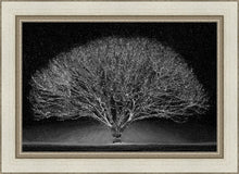 Load image into Gallery viewer, Winter Wonderland
