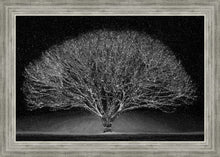 Load image into Gallery viewer, Winter Wonderland
