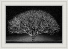 Load image into Gallery viewer, Winter Wonderland
