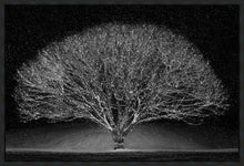 Load image into Gallery viewer, Winter Wonderland
