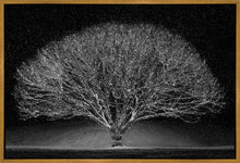 Load image into Gallery viewer, Winter Wonderland
