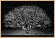 Load image into Gallery viewer, Winter Wonderland
