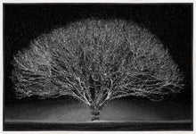 Load image into Gallery viewer, Winter Wonderland
