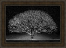 Load image into Gallery viewer, Winter Wonderland
