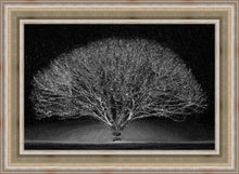 Load image into Gallery viewer, Winter Wonderland
