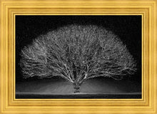Load image into Gallery viewer, Winter Wonderland
